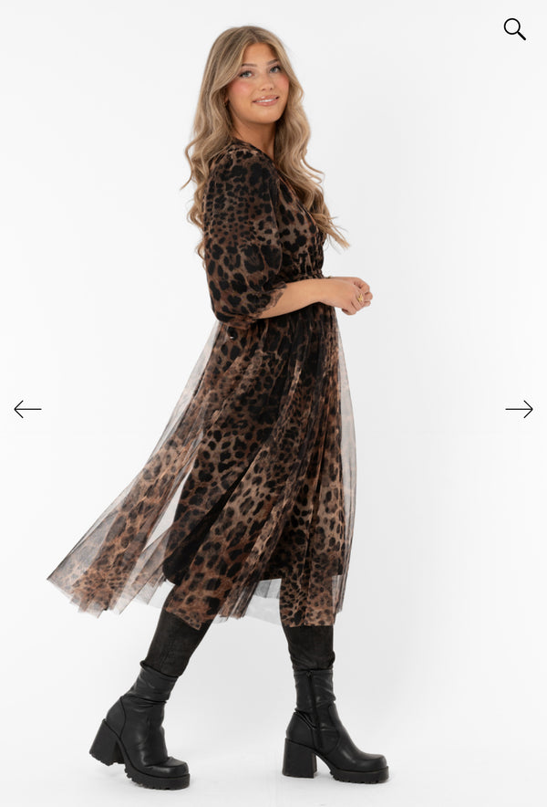 Priscilla tulle dress hazel_black